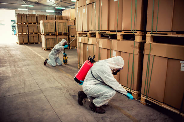 Best Ant Control Services  in Ford Heights, IL