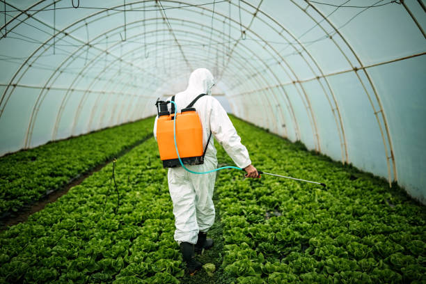 Best Pest Inspection Near Me  in Ford Heights, IL