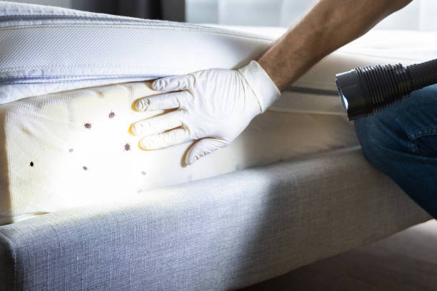 Best Pest Control Near Me  in Ford Heights, IL