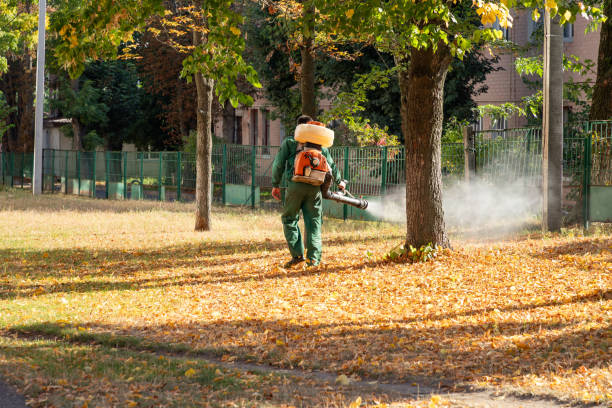 Best Mosquito Control Services  in Ford Heights, IL