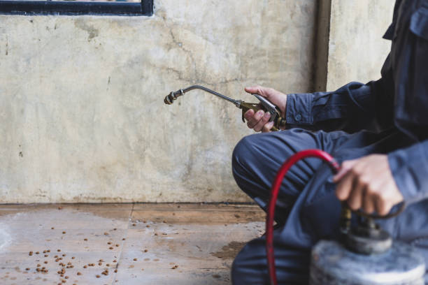 Best Cockroach Control Services  in Ford Heights, IL